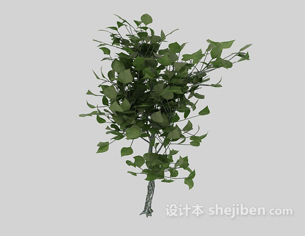 现代风格绿色室外植物树苗3d模型下载