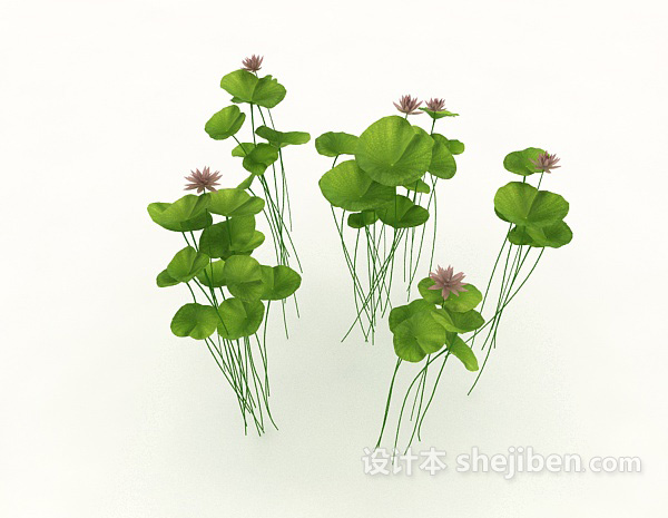设计本绿色观赏植物3d模型下载