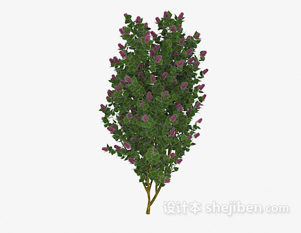 现代风格室外开花树木3d模型下载