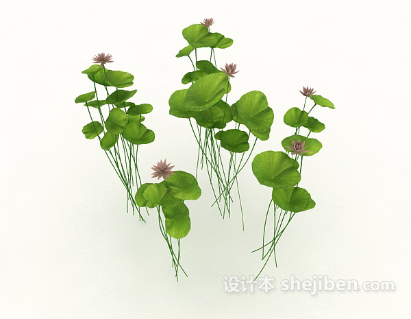 现代风格绿色观赏植物3d模型下载