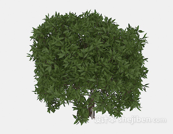 免费室外高大绿叶植物3d模型下载