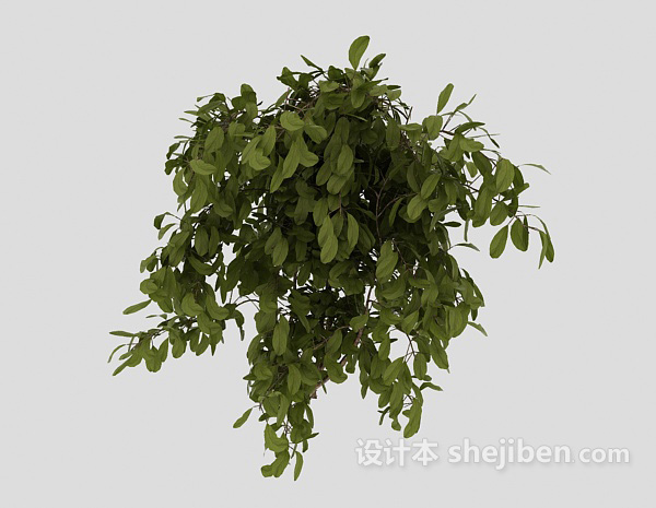 免费室外常见绿色植物3d模型下载
