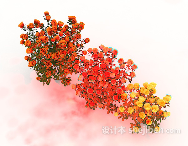 现代风格玫瑰植物花丛3d模型下载