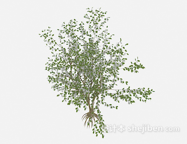 免费常见绿色室外植物3d模型下载
