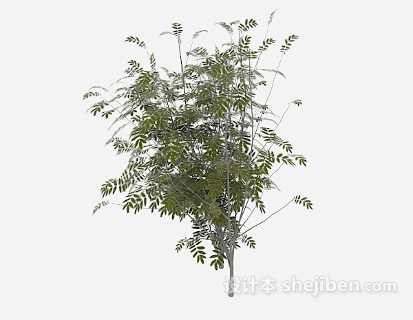 现代风格野外绿色植物3d模型下载