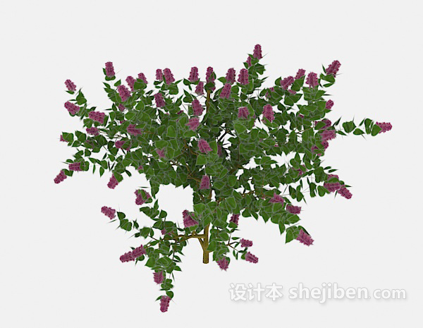 设计本常见绿色花卉植物3d模型下载