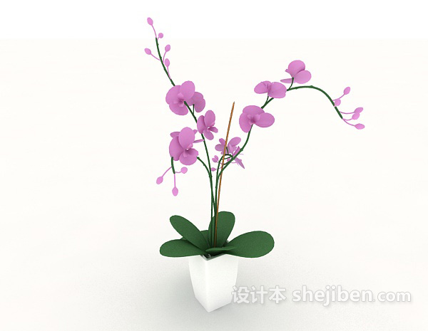 现代风格家居室内盆栽植物3d模型下载