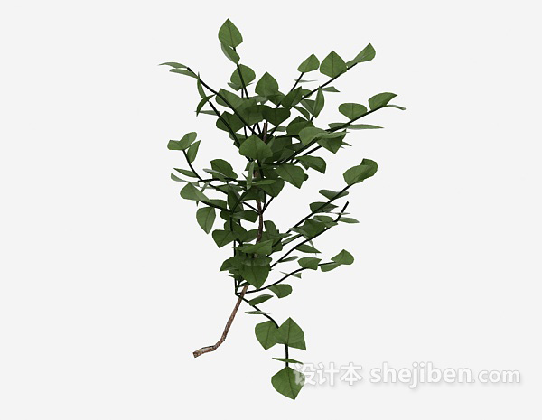 野外绿叶植物3d模型下载
