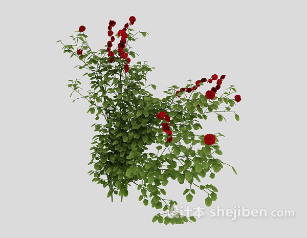 设计本室外绿化植物3d模型下载