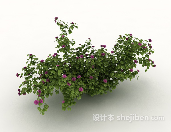 室外植物花丛3d模型下载