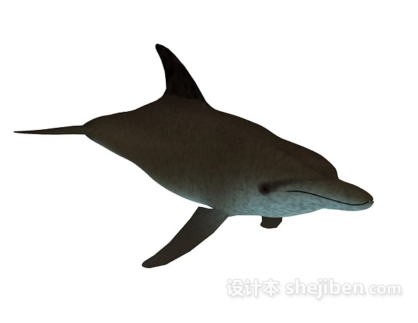 鲨鱼玩具3d模型下载