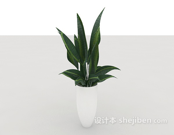 现代风格室内绿色盆栽3d模型下载