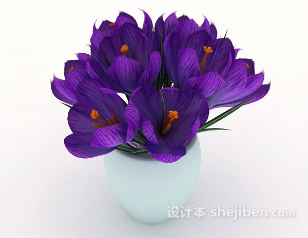免费家居摆设紫色花束3d模型下载
