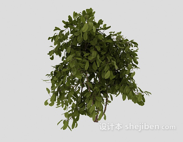 现代风格室外常见绿色植物3d模型下载