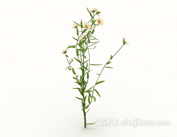 免费野花植物3d模型下载
