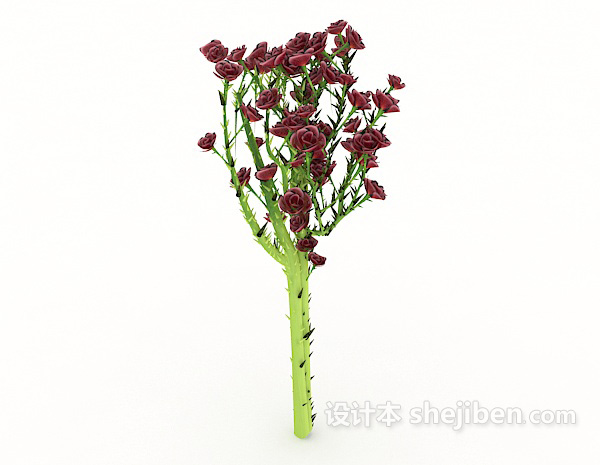 设计本带刺植物3d模型下载
