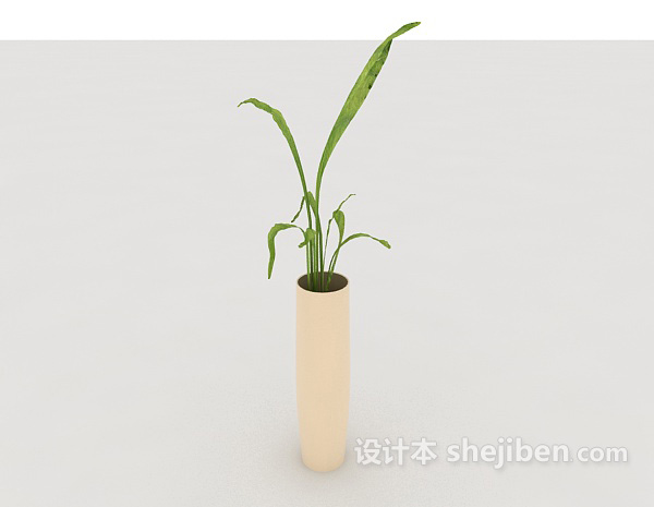现代风格绿珠盆栽摆设3d模型下载