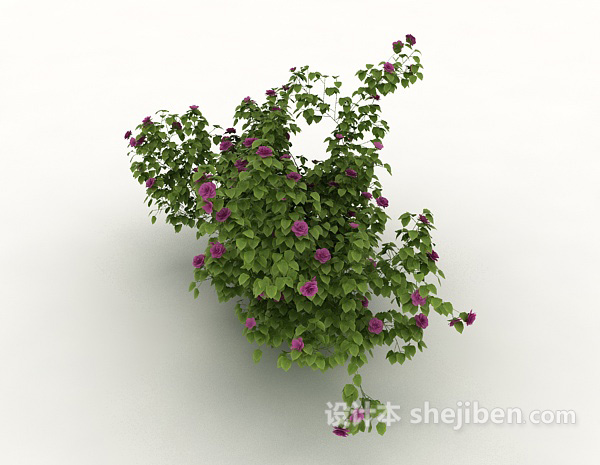 设计本室外植物花丛3d模型下载