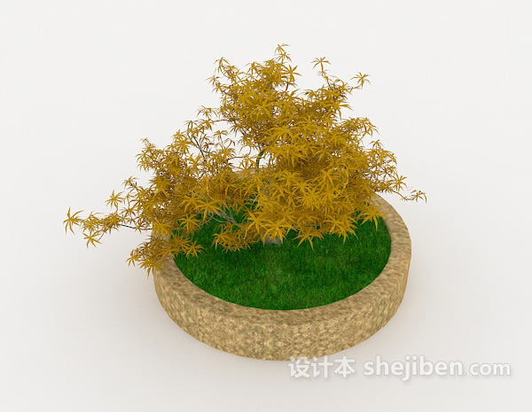 室外盆栽植物3d模型下载