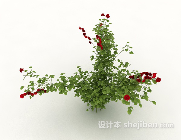 免费野生花卉植物3d模型下载