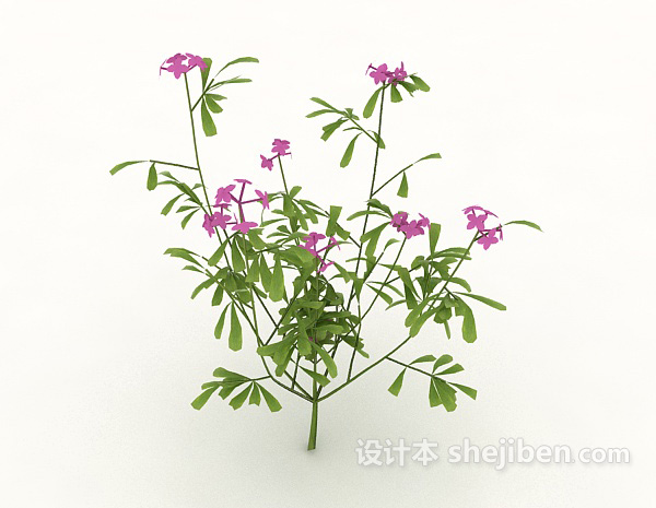 玫红色室外植物3d模型下载