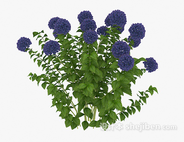 设计本蓝色花朵植物3d模型下载
