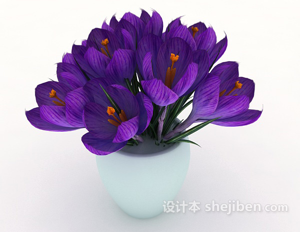 设计本家居摆设紫色花束3d模型下载