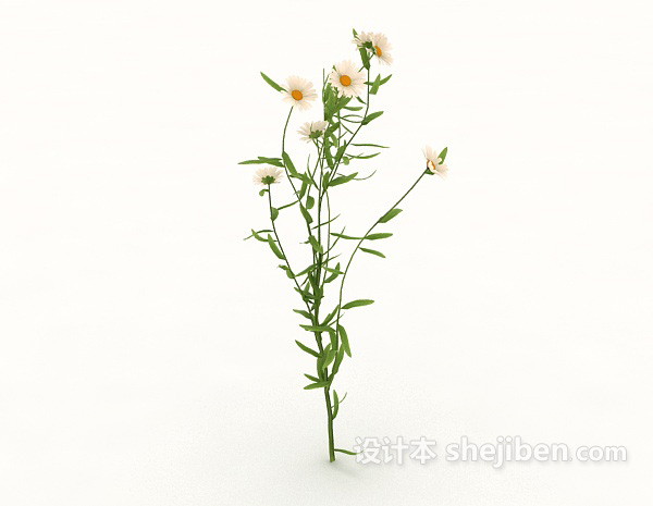 设计本野花植物3d模型下载