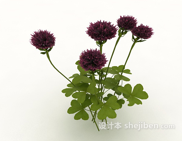 免费紫色室外观赏植物3d模型下载