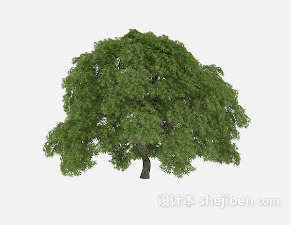 路标植物大树3d模型下载