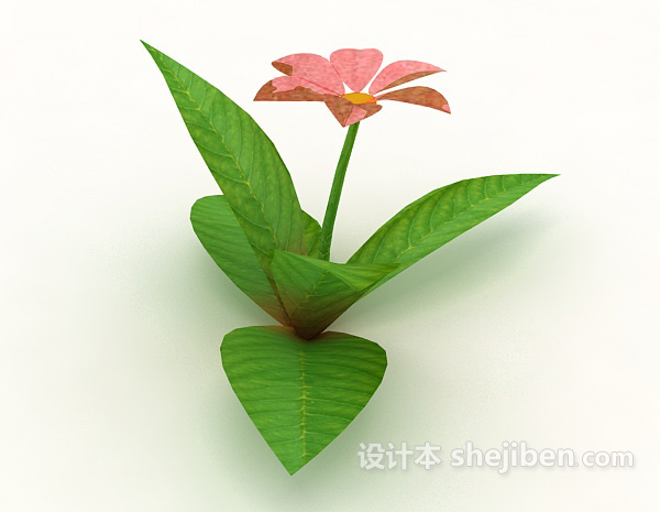 免费室外植物花朵3d模型下载