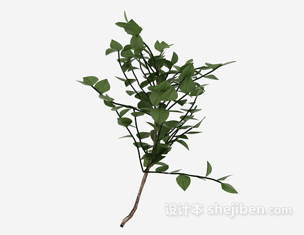 现代风格野外绿叶植物3d模型下载
