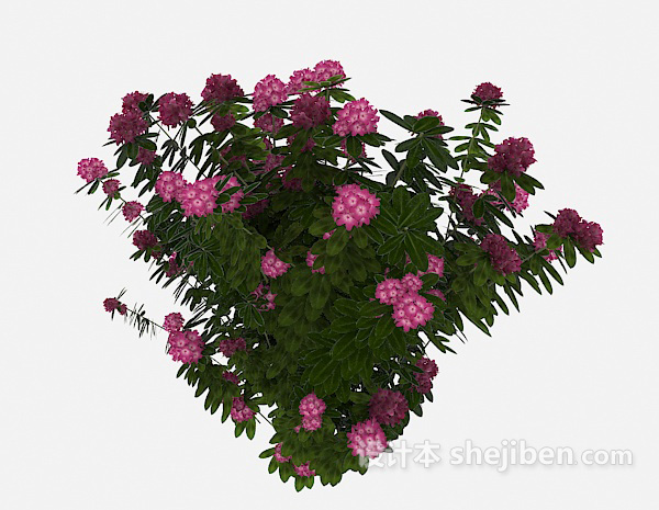 免费室外花卉植物3d模型下载