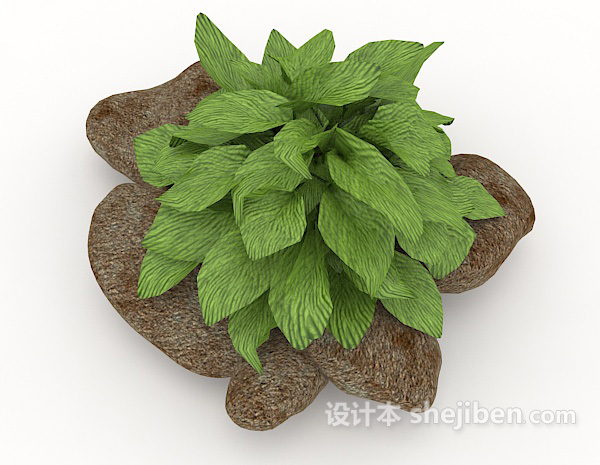 设计本绿色室外植物3d模型下载