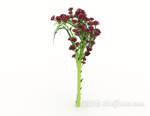 现代风格带刺植物3d模型下载