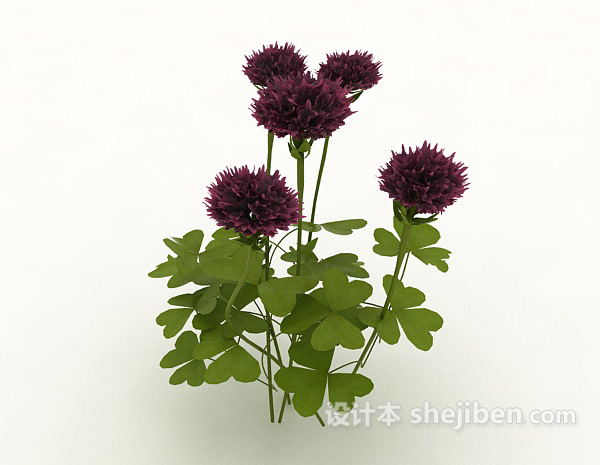 紫色室外观赏植物3d模型下载