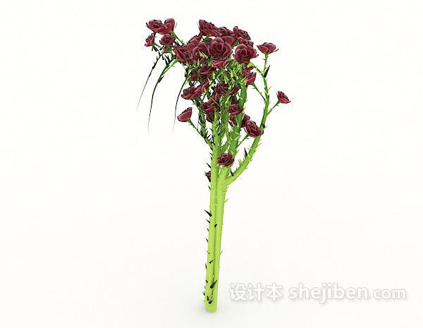 带刺植物3d模型下载