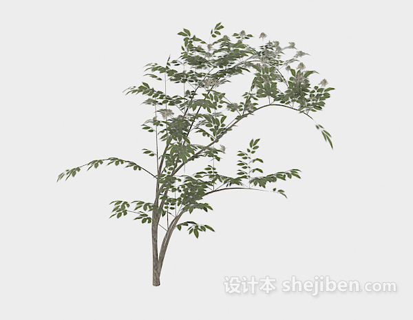 现代风格纤细绿树枝3d模型下载