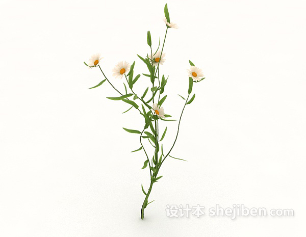 现代风格白色野菊花3d模型下载