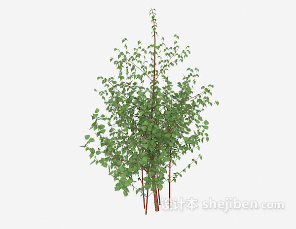常见室外植物树苗3d模型下载