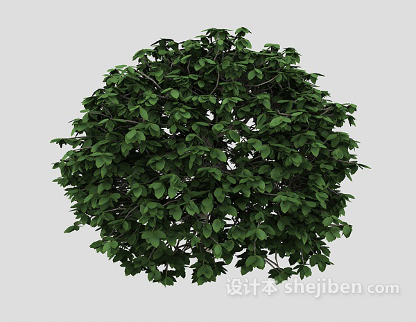 免费绿色室外盆栽3d模型下载