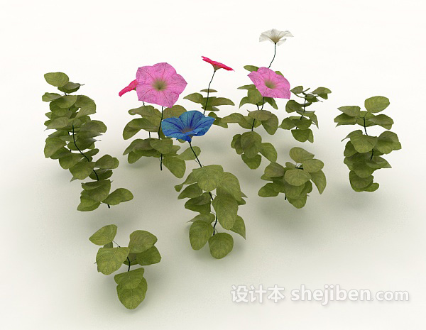 设计本多色花植株3d模型下载