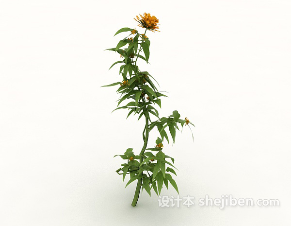 设计本培育植物3d模型下载