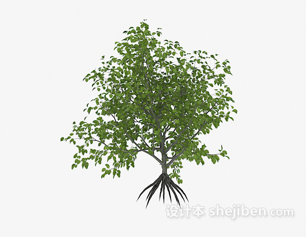 设计本绿色植物树苗3d模型下载