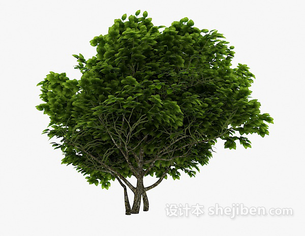 现代风格室外植物古树3d模型下载