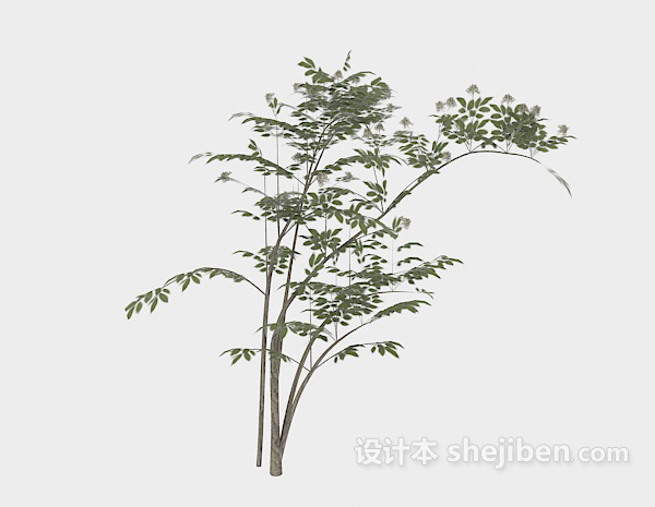 纤细绿树枝3d模型下载