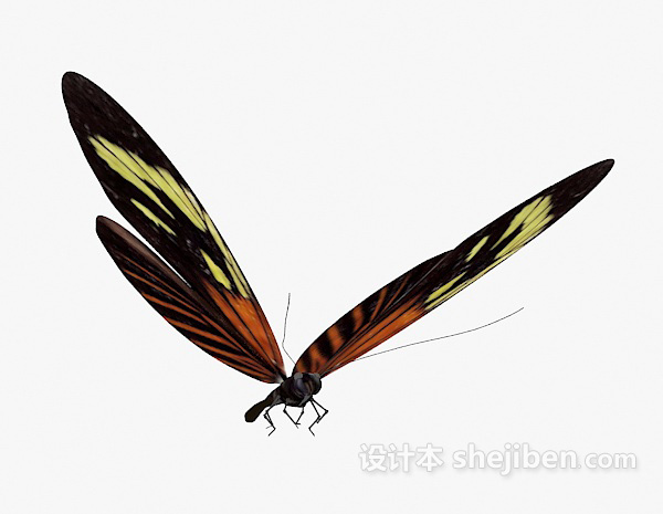 设计本黑色蝴蝶3d模型下载