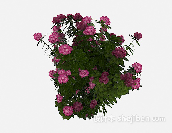 设计本室外花卉植物3d模型下载