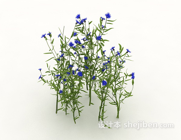 设计本紫花植物3d模型下载