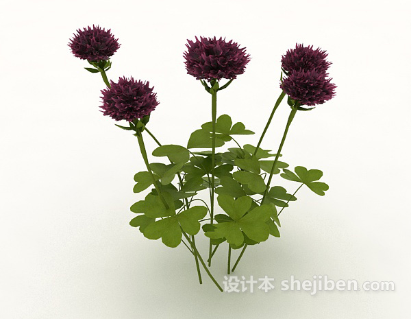 设计本紫色室外观赏植物3d模型下载